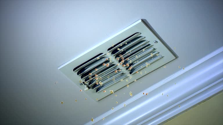 Best Dryer Vent Cleaning Services  in Blaine, MN