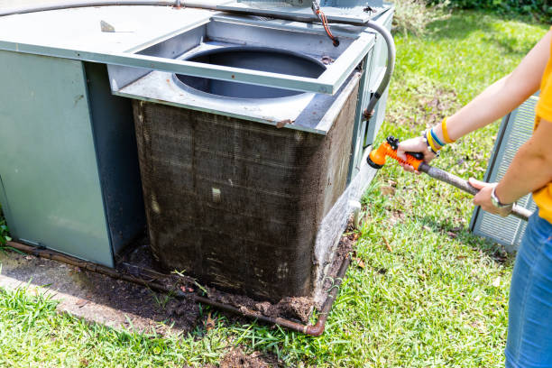 Air Duct Mold Removal in MN