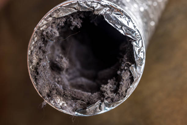 Best Air Duct Mold Removal  in Blaine, MN